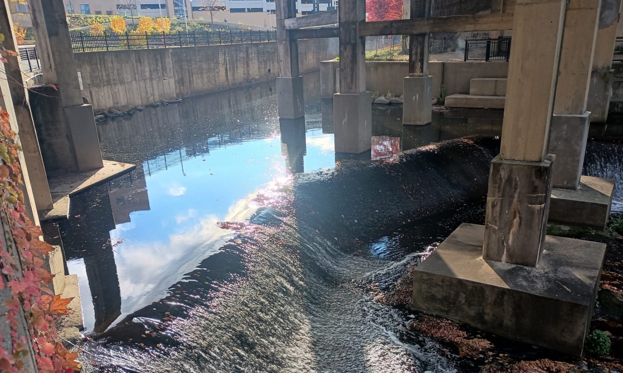 Photo of Lock 4 water in Akron, Ohio.